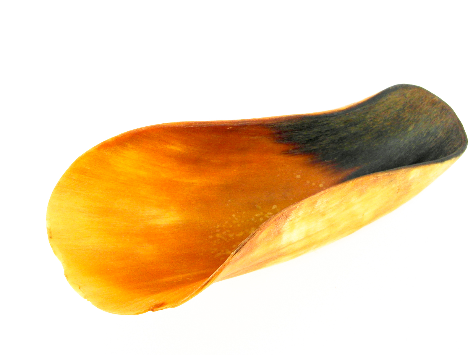 勺子 — G-4016