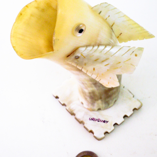 Poissons — g-3031-D