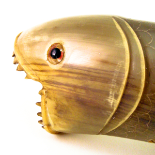 Poissons — G-3026
