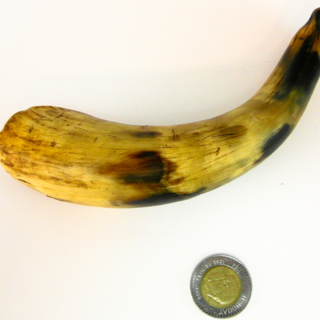 勺子 — g-4018-C