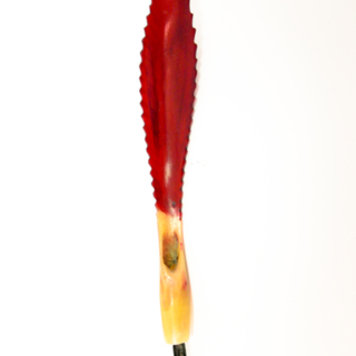 Porte-plume — g-5096-B