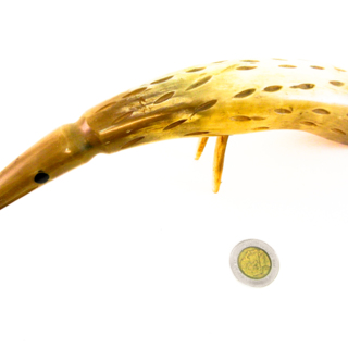 Oiseaux — g-3003-E