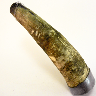 Corne à boire — poire à poudre — g-2006-B