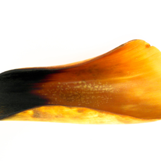 Cuillères — g-4016-C