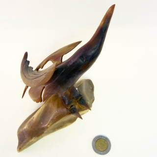 Oiseaux — g-3006-E