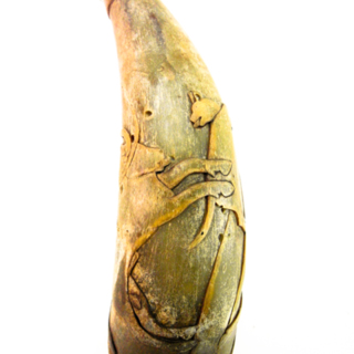 Corne à boire — poire à poudre — g-2013-C