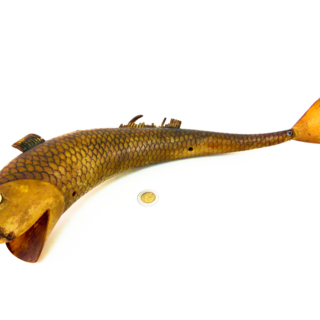 Poissons — g-3027-E