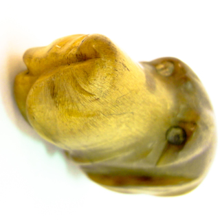 Animaux · manches — g-5034-F