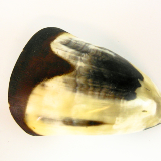 Cuillères — g-4013-C