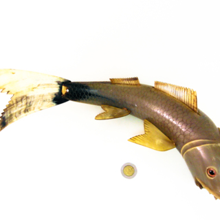 Poissons — g-3026-G