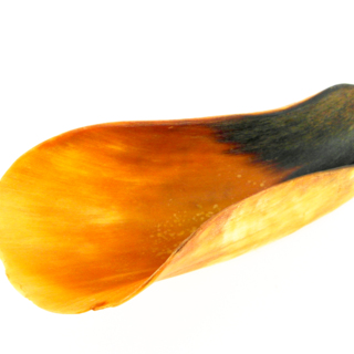 勺子 — G-4016