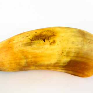 Cuillères — g-4016-D