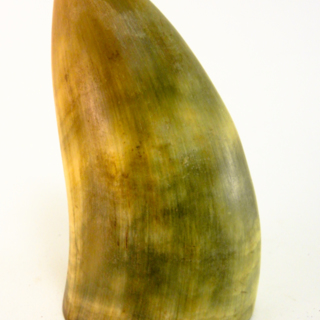 Jetons de tonte — g-2062-B