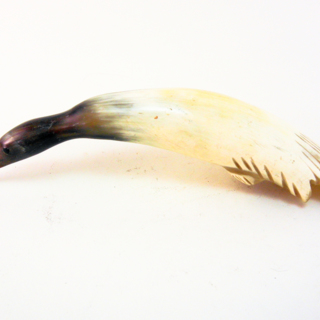 Oiseaux — g-3012-B
