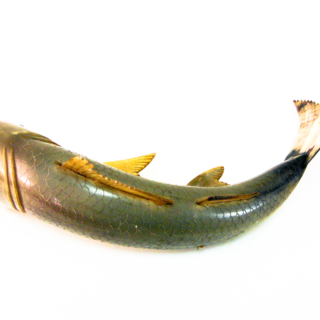 Poissons — g-3026-C