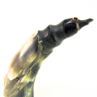 Oiseaux — g-3016-B